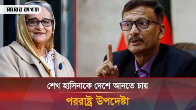 যেভাবে শেখ হাসিনাকে দেশে ফিরিয়ে আনা সম্ভব বললেন পররাষ্ট্র উপদেষ্টা